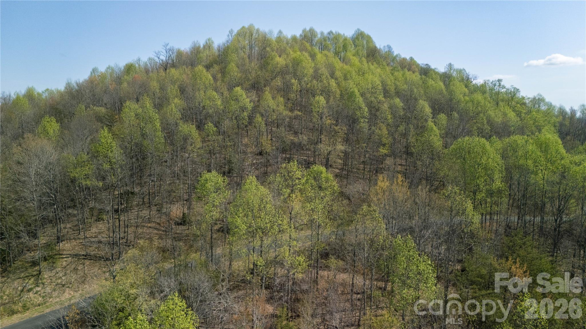 TBD Owls Ridge Road - Photo 12