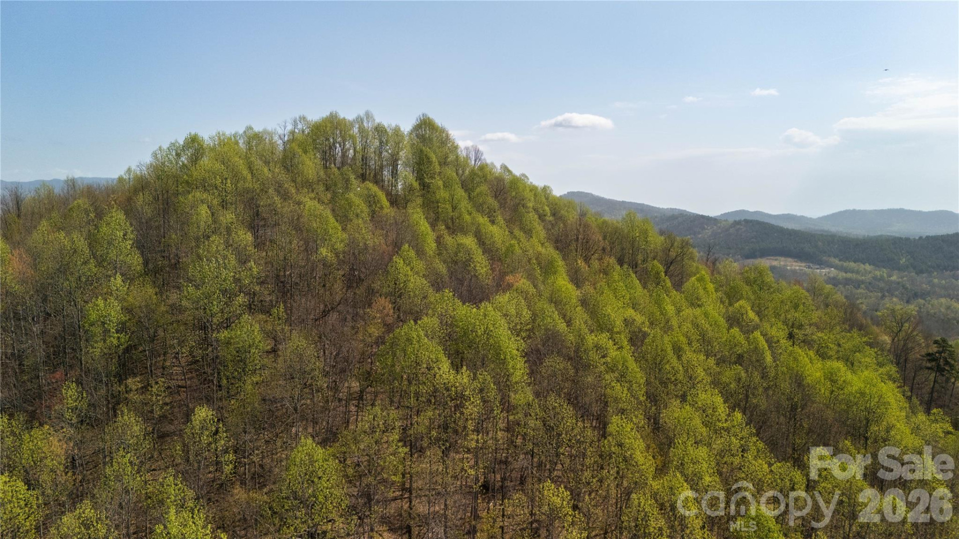 TBD Owls Ridge Road - Photo 13