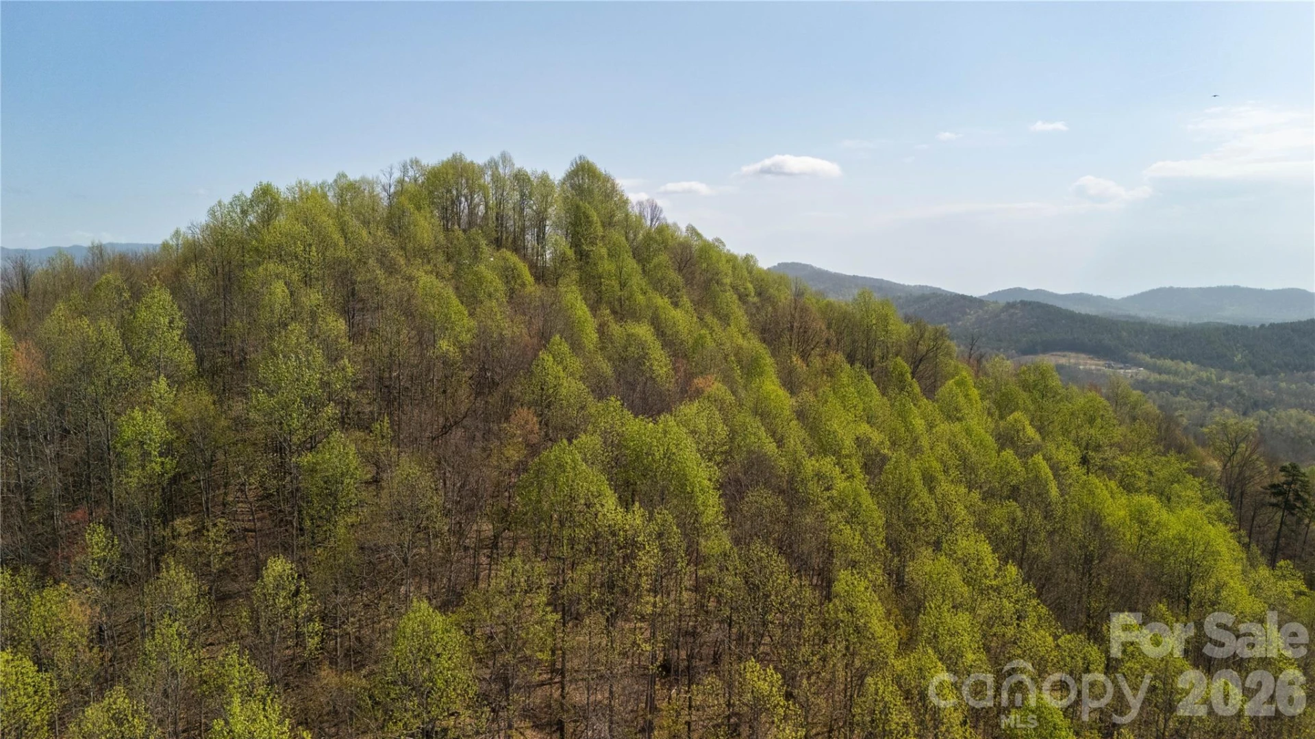 TBD Owls Ridge Road - Photo 13