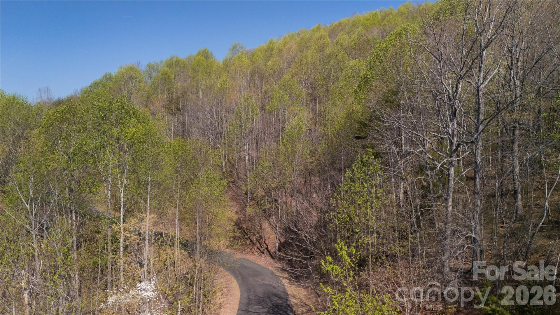 TBD Owls Ridge Road - Photo 4