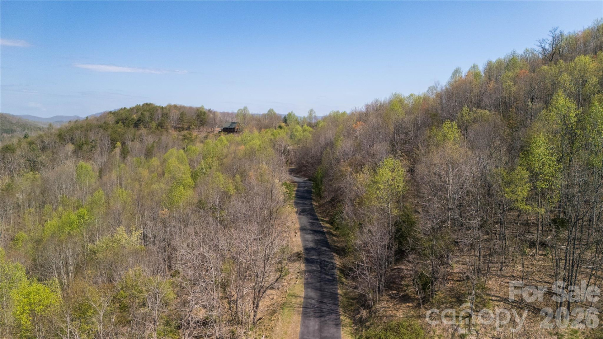 TBD Owls Ridge Road - Photo 6