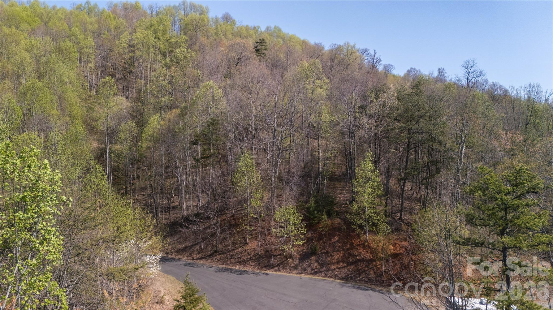 TBD Owls Ridge Road - Photo 8