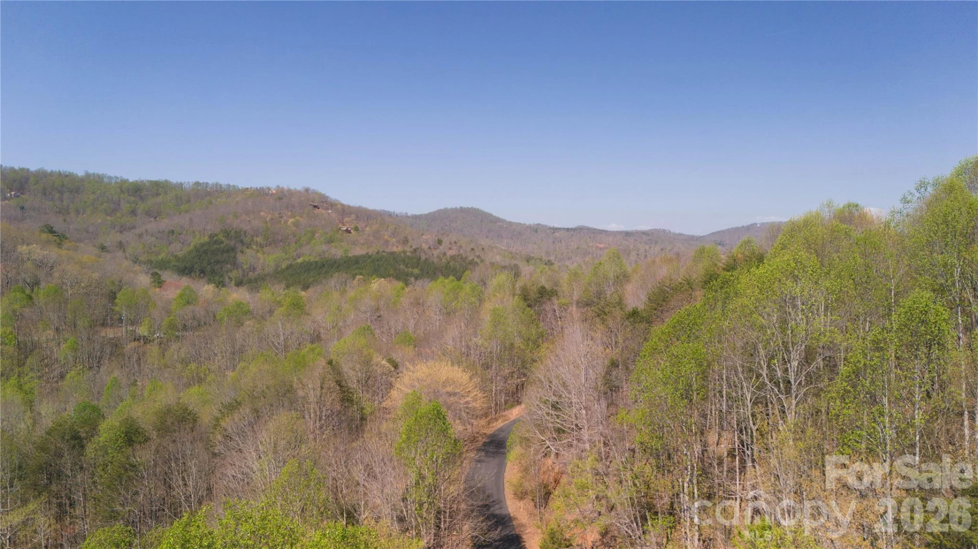 TBD Owls Ridge Road - Photo 9