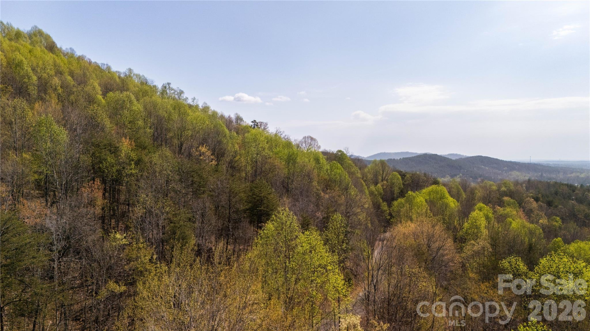 TBD Owls Ridge Road - Photo 10