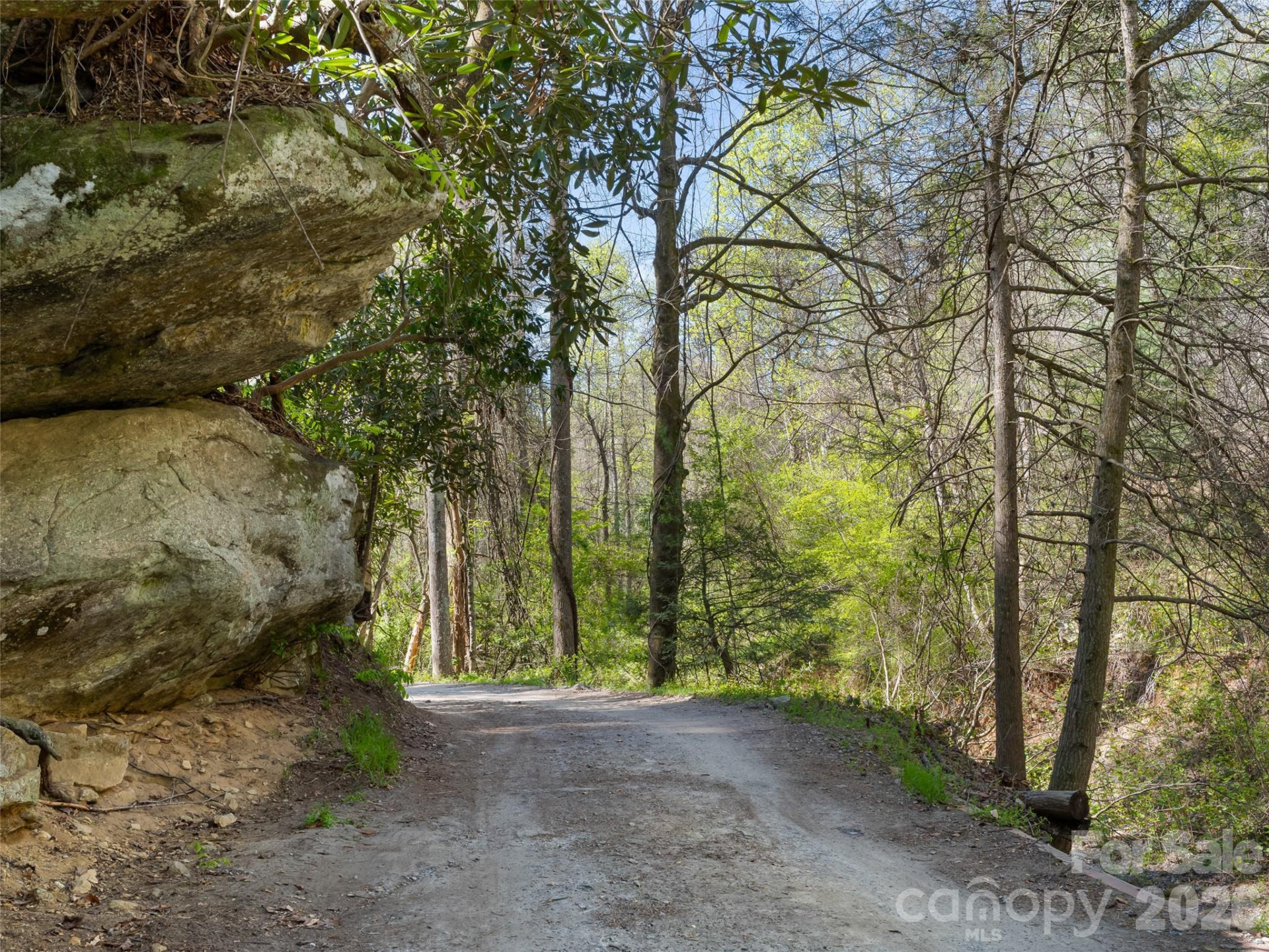 40 Morning Dove Lane - Photo 41