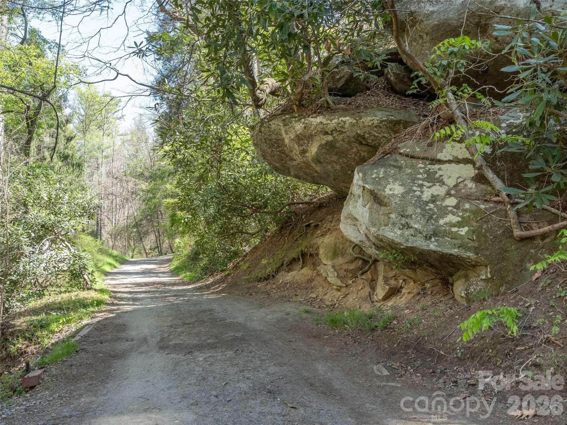 40 Morning Dove Lane - Photo 42