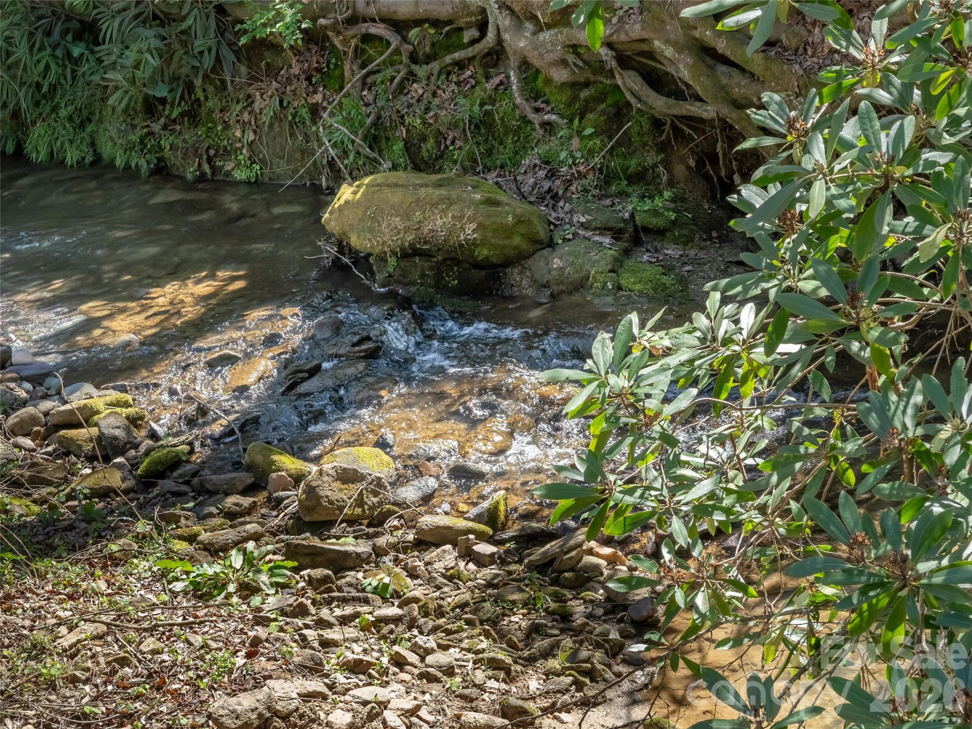 40 Morning Dove Lane - Photo 6