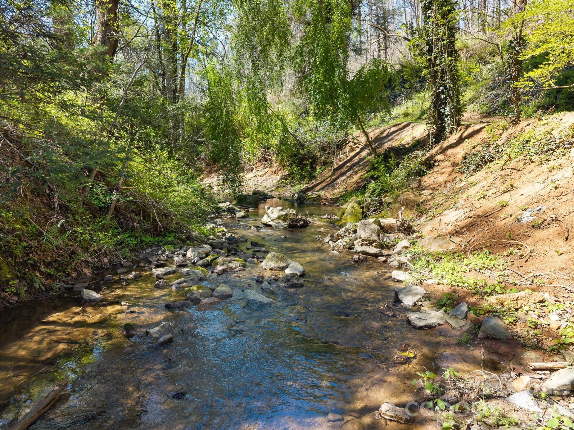 40 Morning Dove Lane - Photo 7