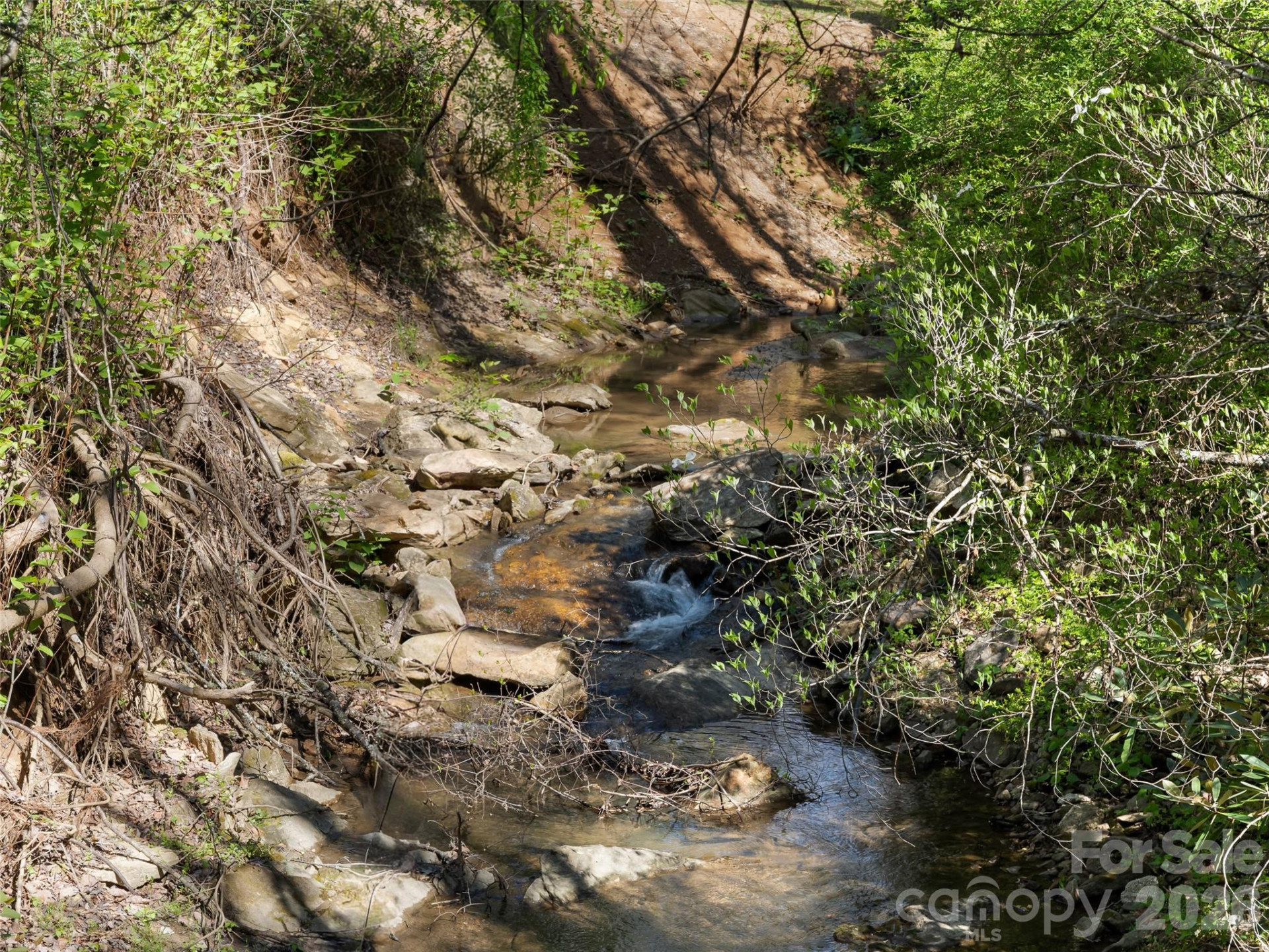 40 Morning Dove Lane - Photo 8