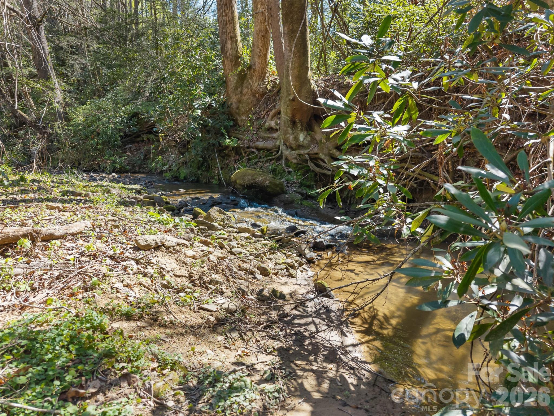 40 Morning Dove Lane - Photo 9