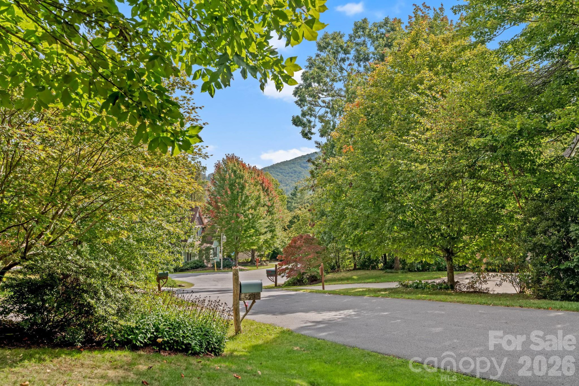 25 Owl Creek Lane - Photo 3