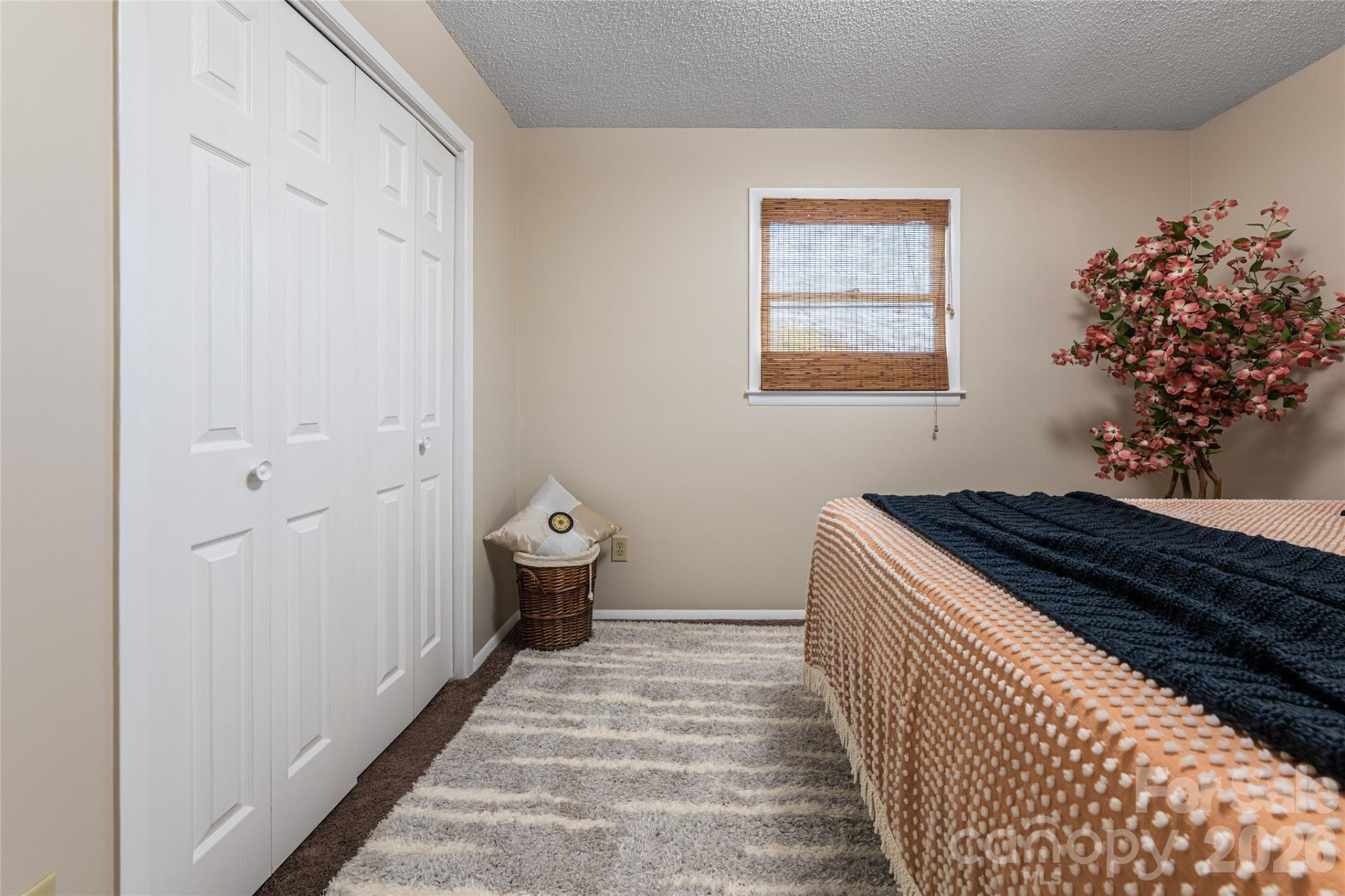 231 View Street - Photo 24