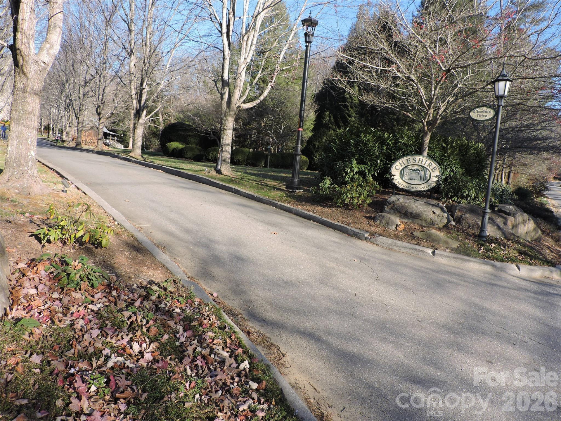 10 Whitman Lane #41 - Photo 2