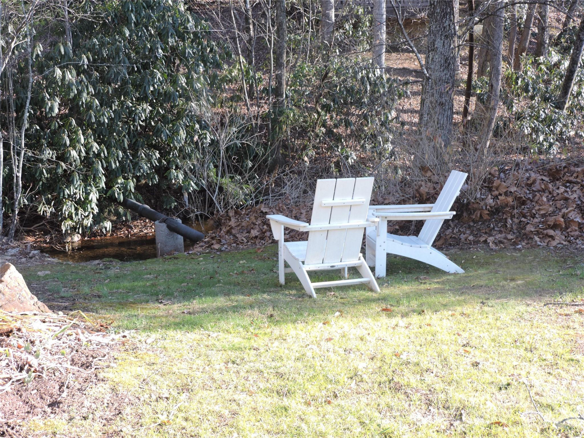 10 Whitman Lane #41 - Photo 20