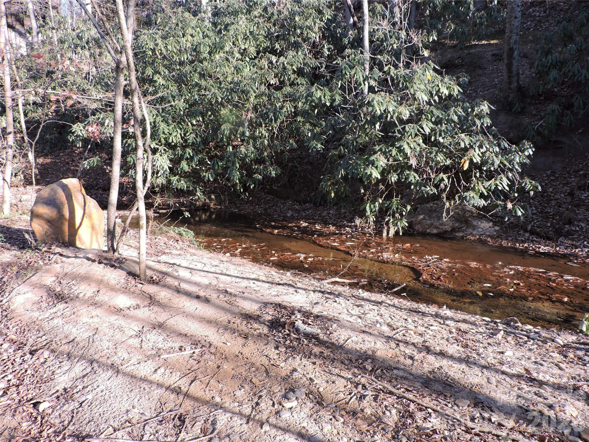 10 Whitman Lane #41 - Photo 21