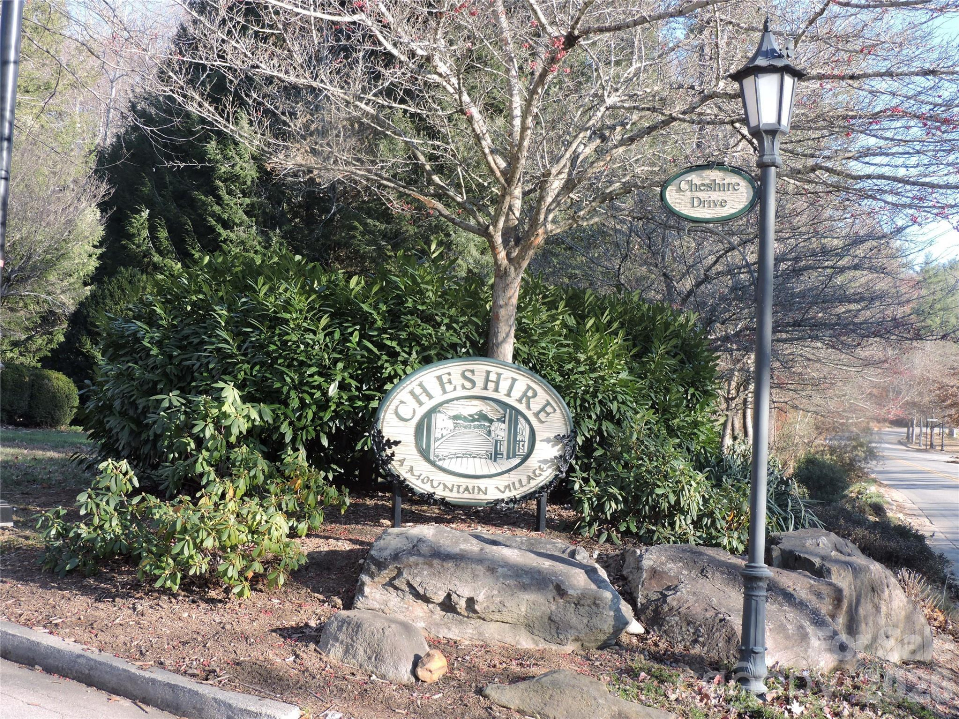 10 Whitman Lane #41 - Photo 24