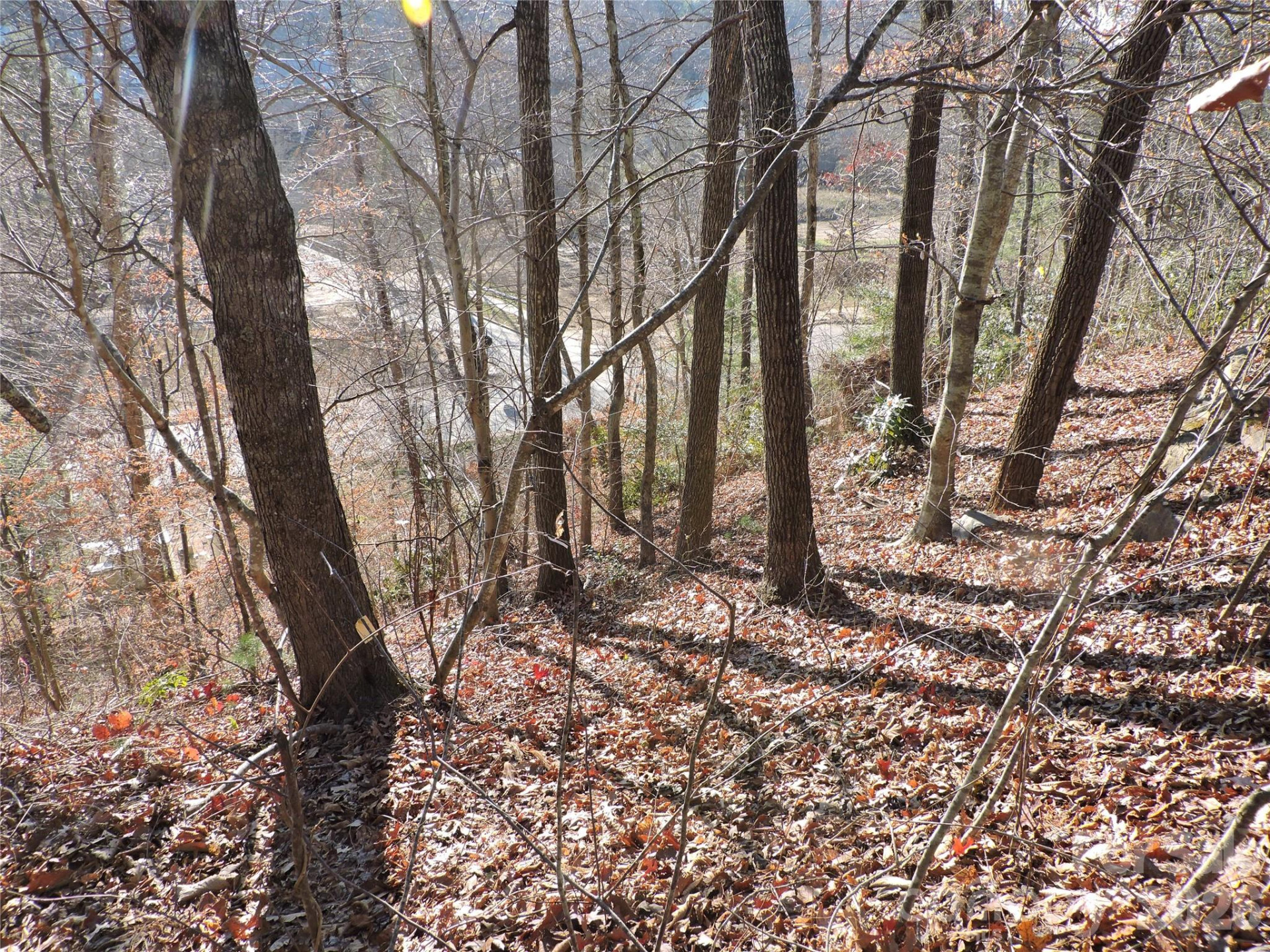 10 Whitman Lane #41 - Photo 4