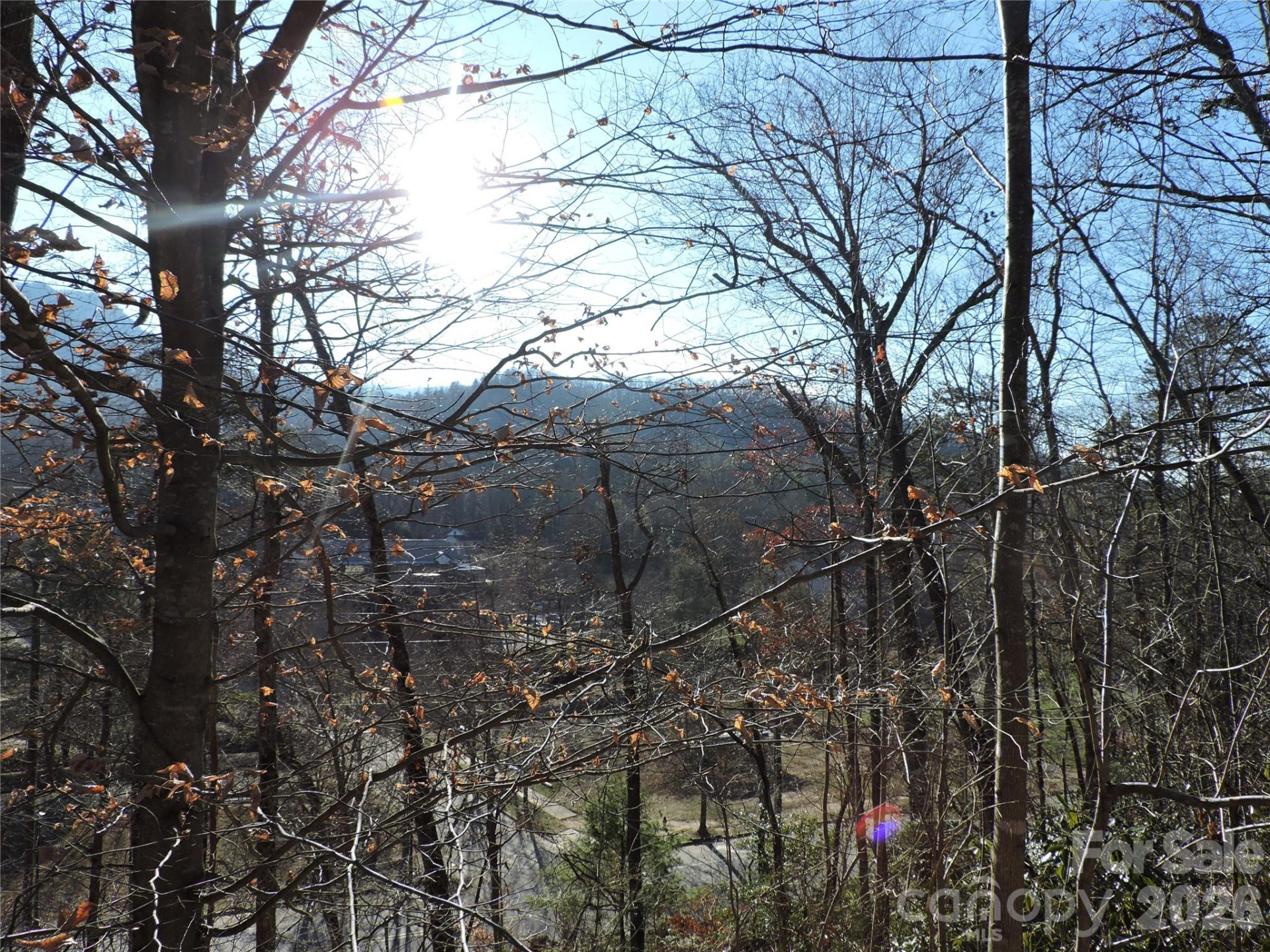 10 Whitman Lane #41 - Photo 6