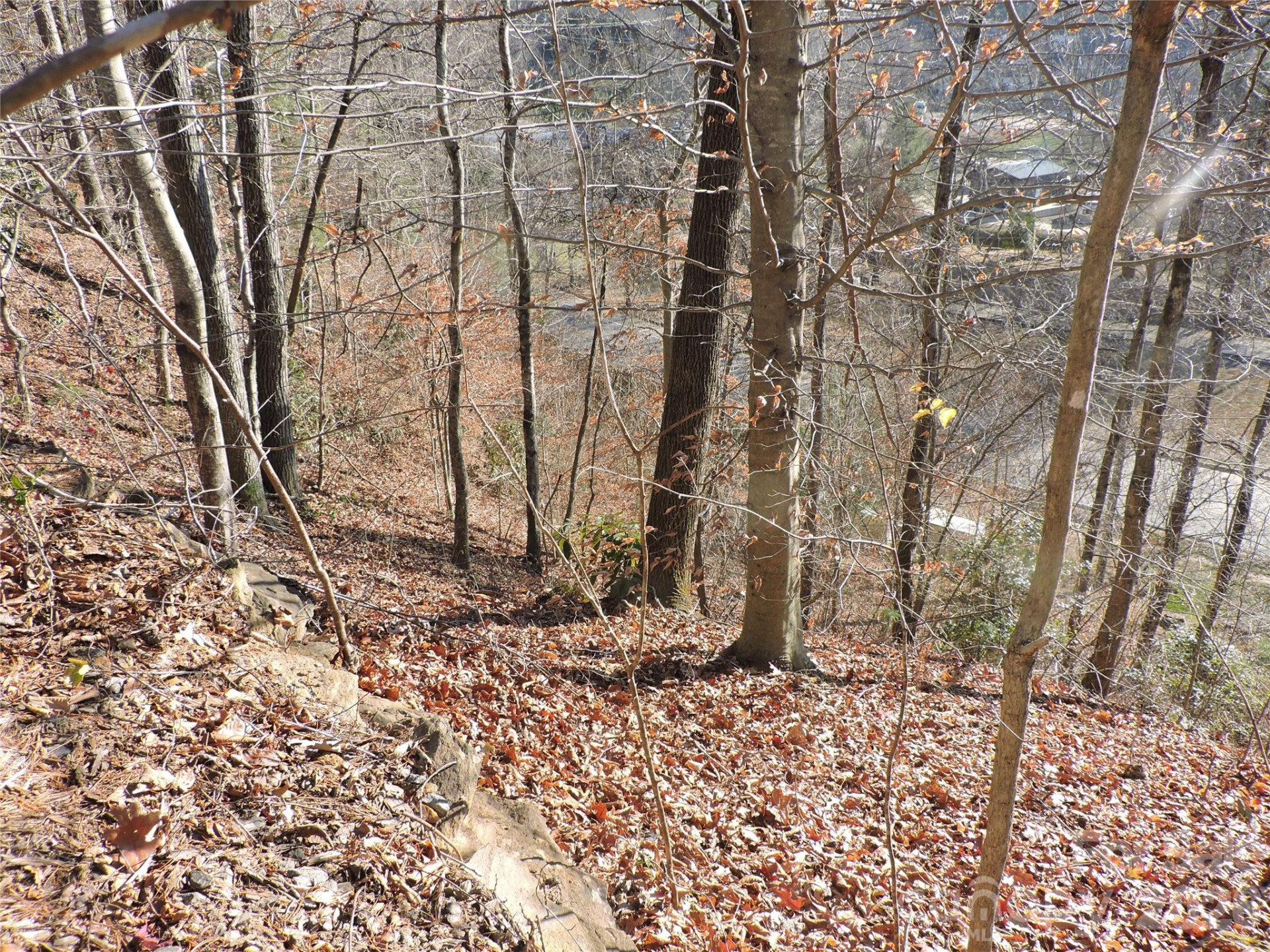 10 Whitman Lane #41 - Photo 8