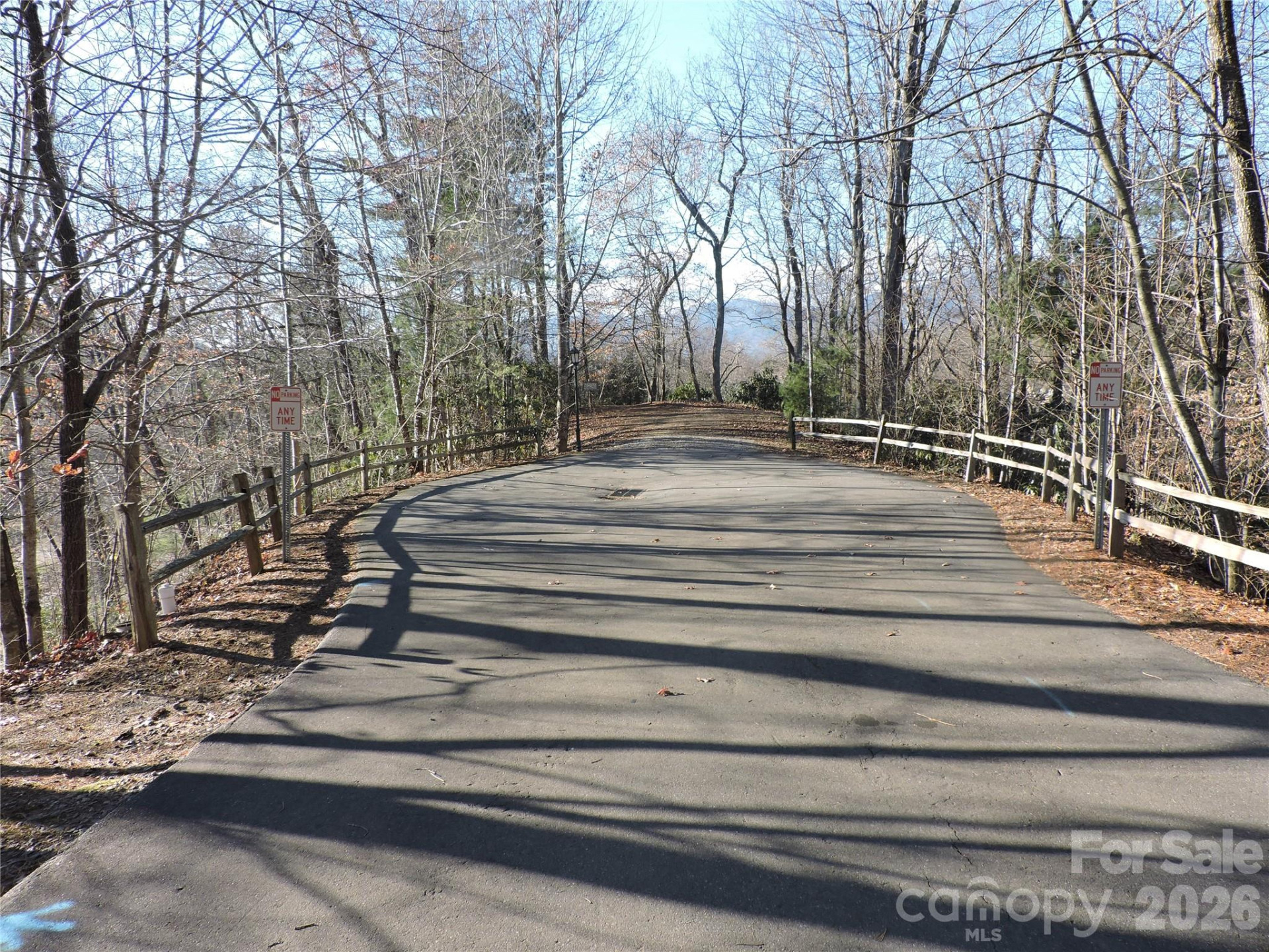 10 Whitman Lane #41 - Photo 9