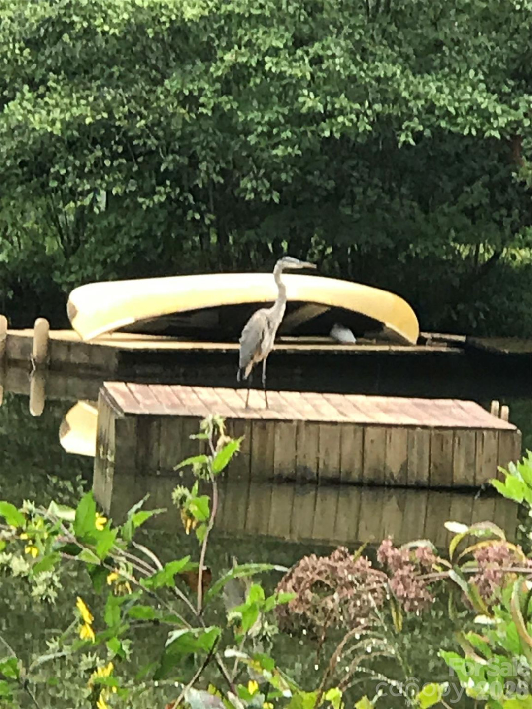 586 Liberty Church Road - Photo 12