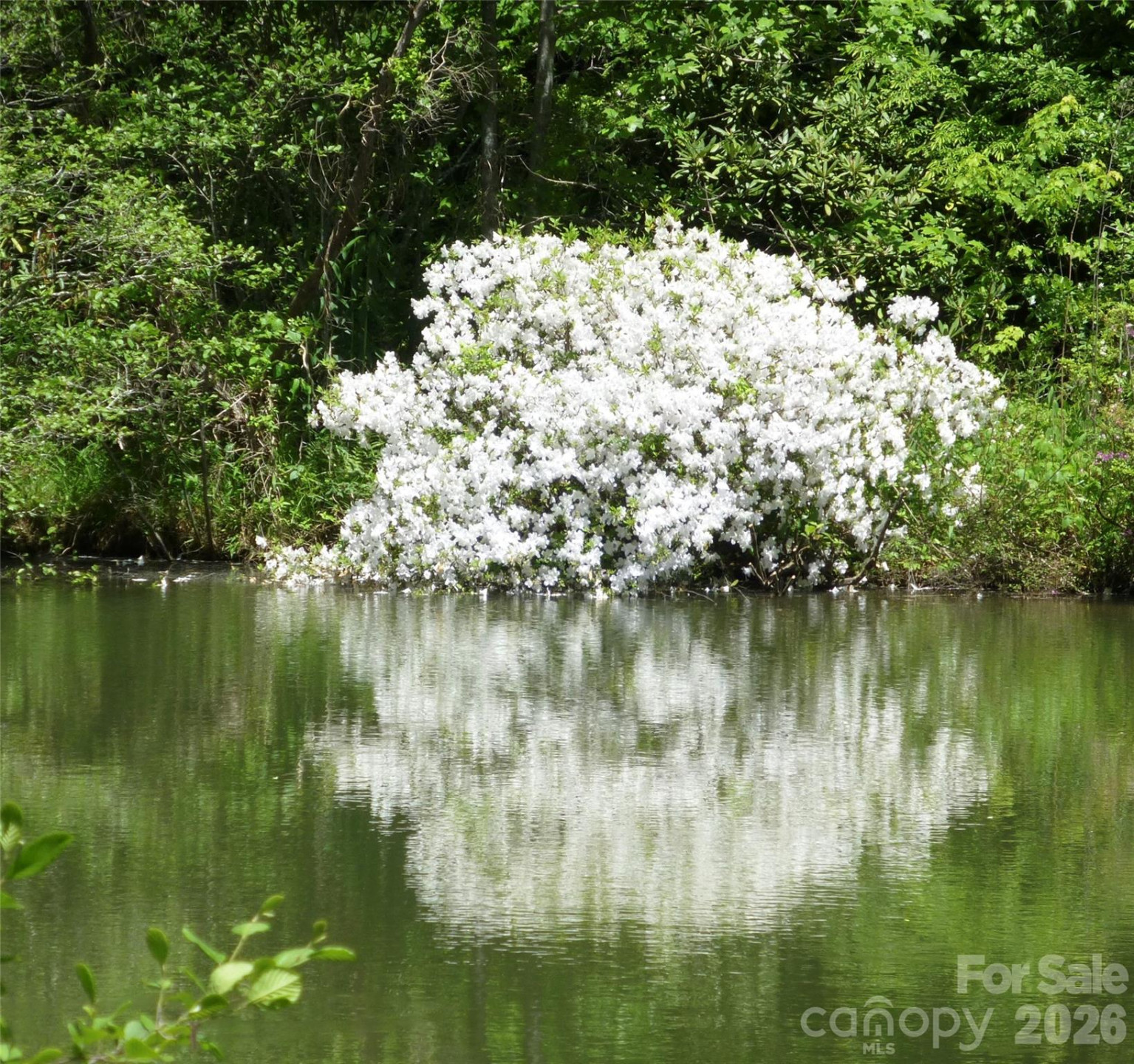 586 Liberty Church Road - Photo 13