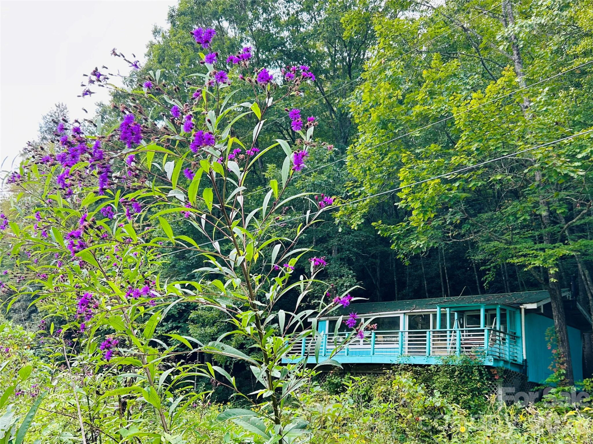 586 Liberty Church Road - Photo 14