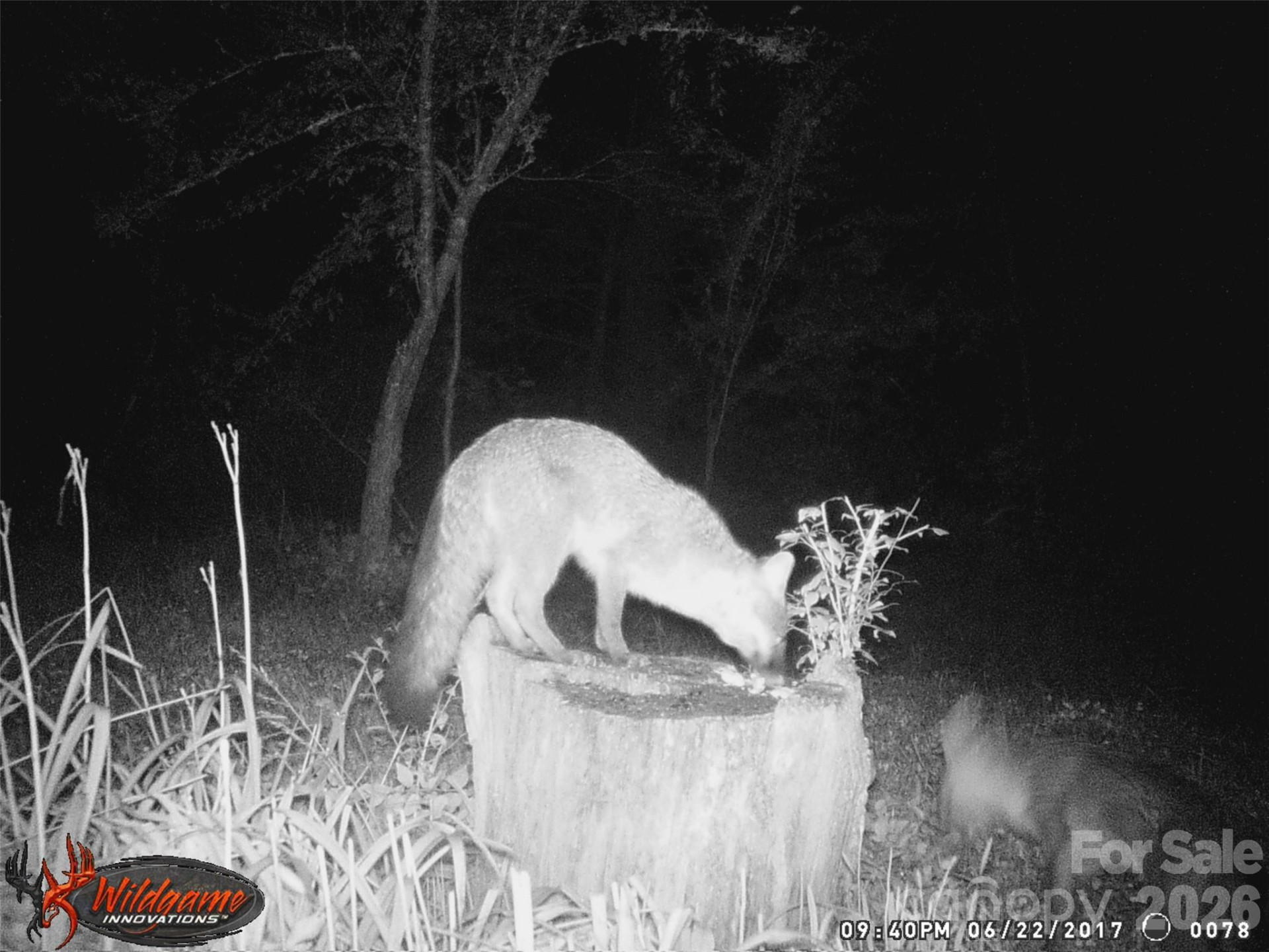 586 Liberty Church Road - Photo 16