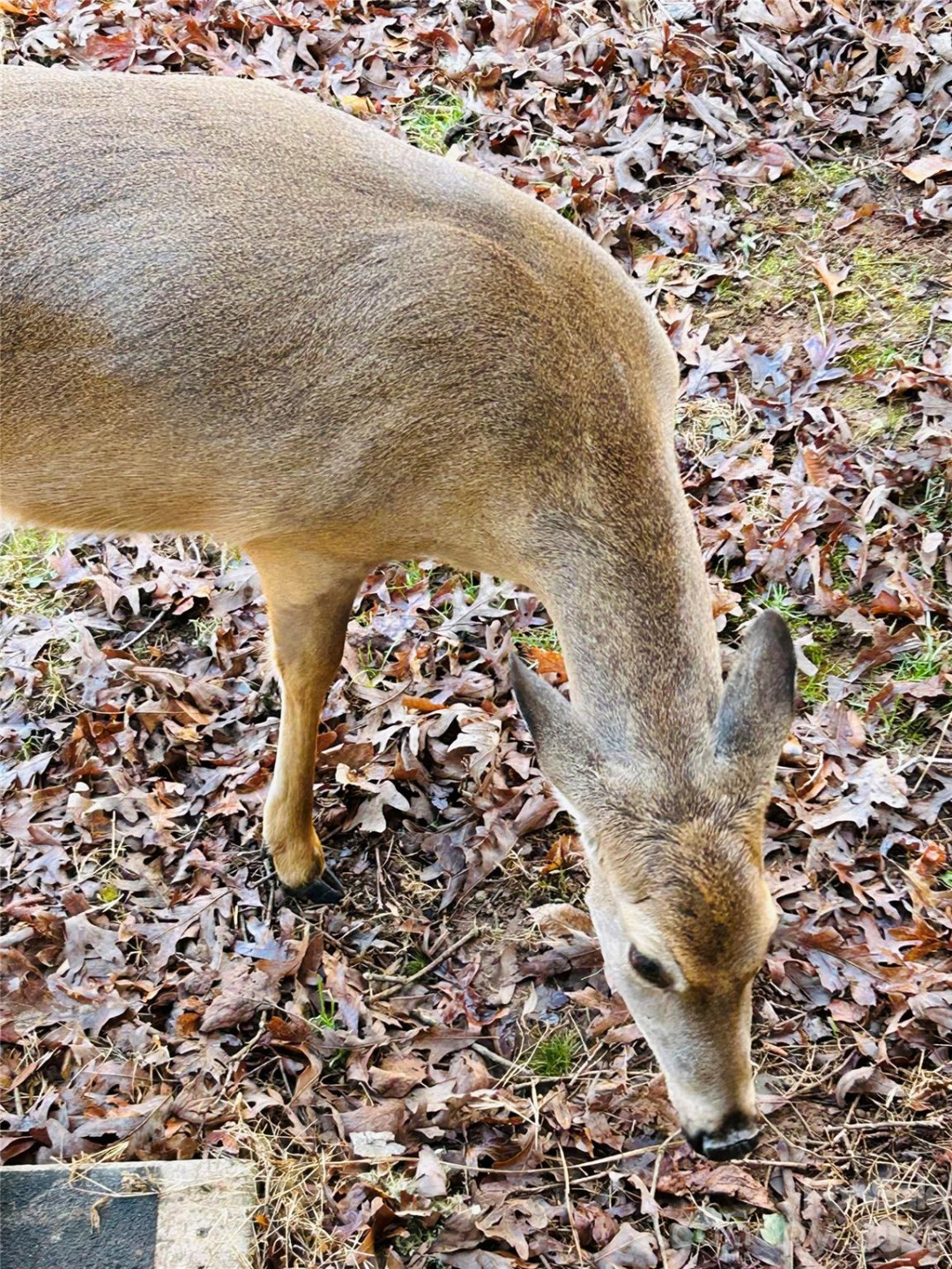 586 Liberty Church Road - Photo 17