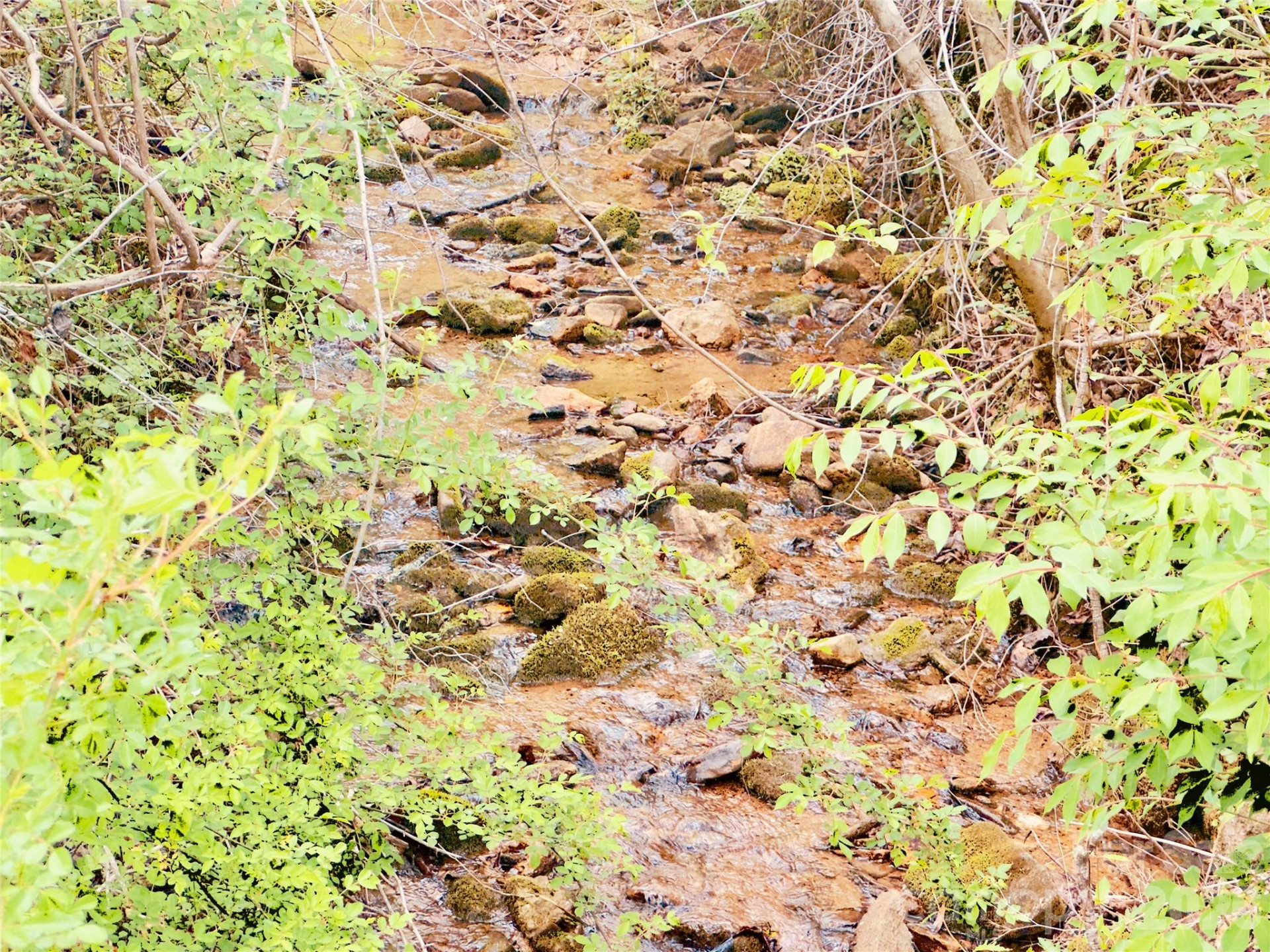 586 Liberty Church Road - Photo 6