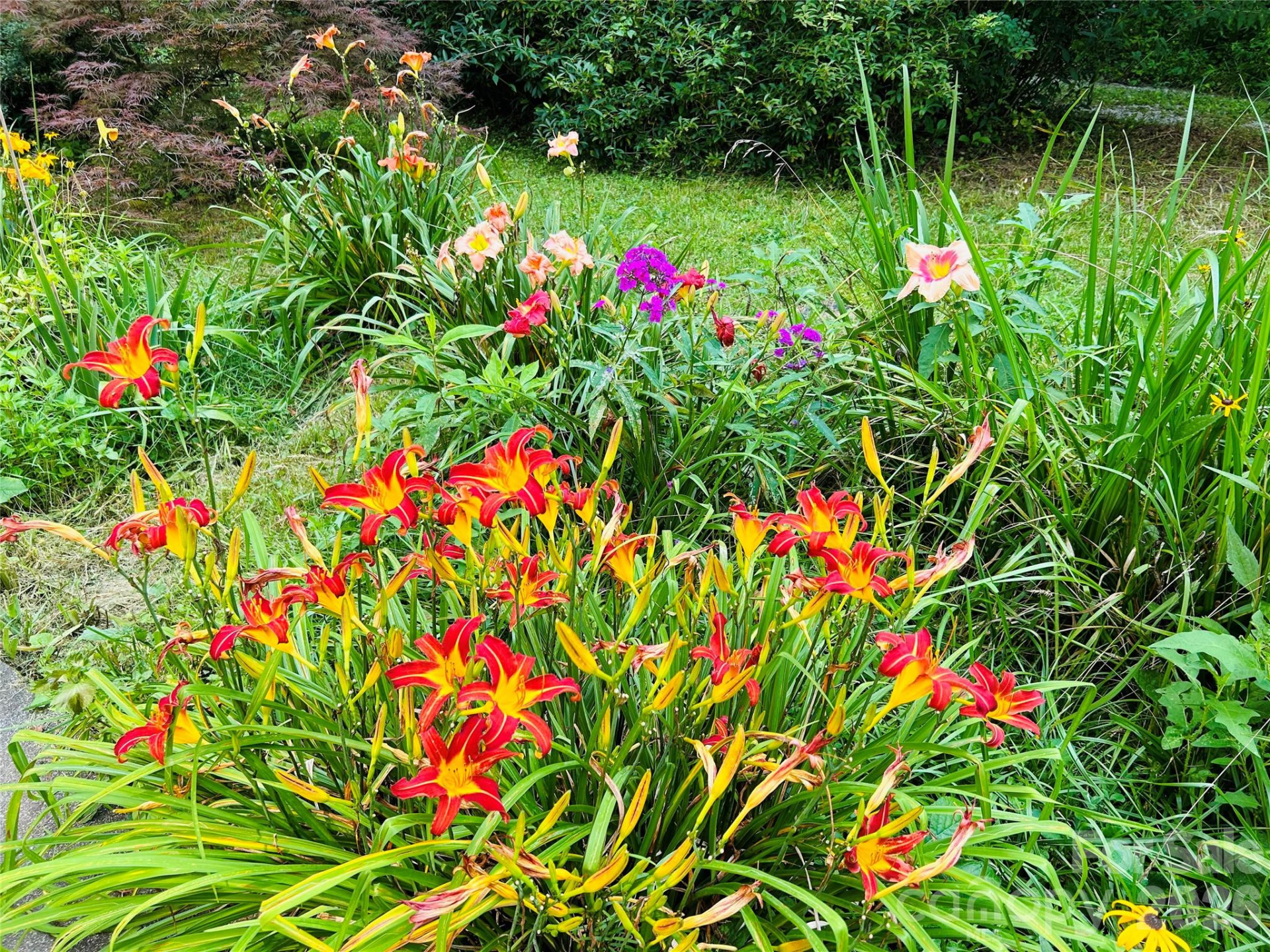 586 Liberty Church Road - Photo 10