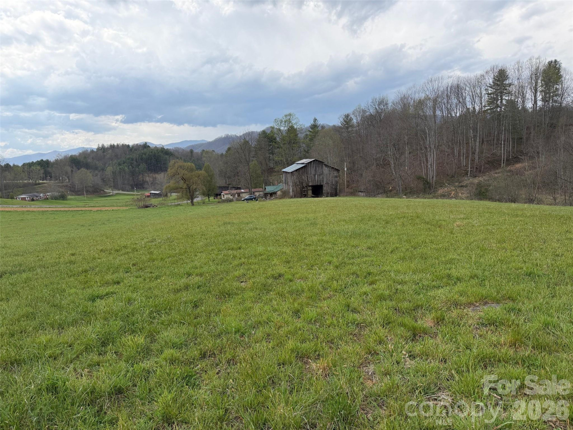 330 Tilson Branch Road - Photo 2