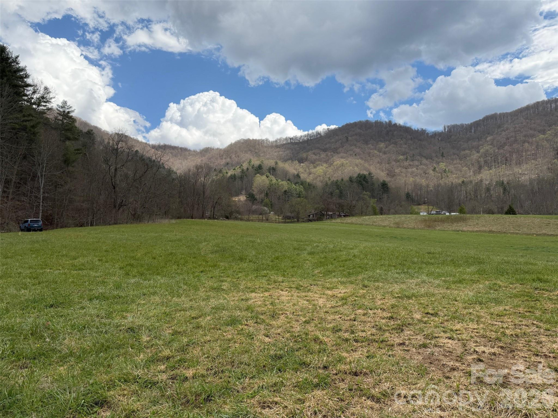 330 Tilson Branch Road - Photo 6