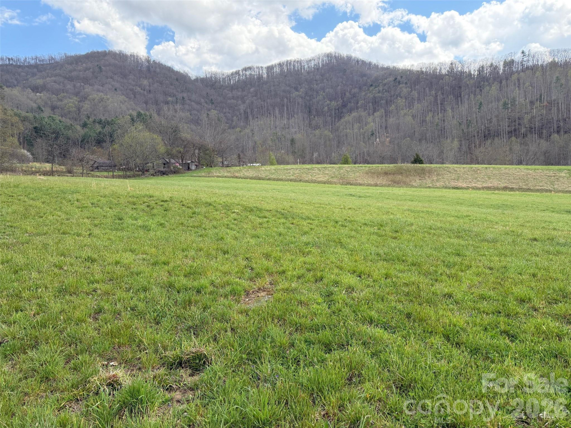 330 Tilson Branch Road - Photo 7