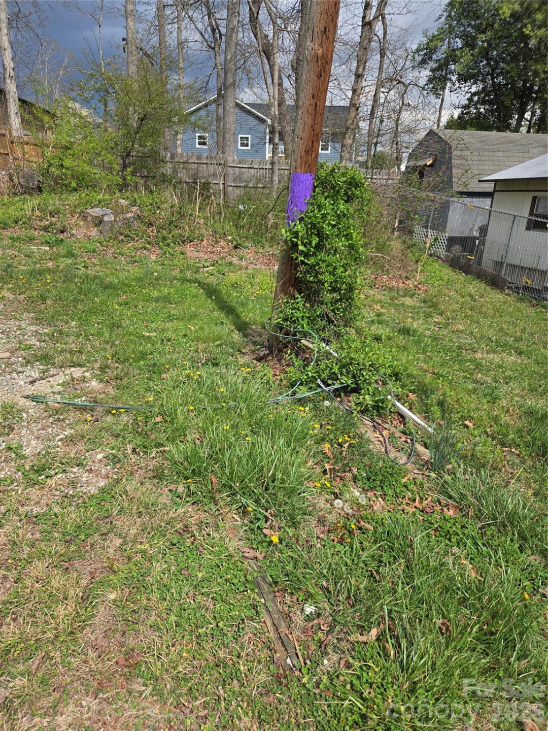 145 Carolina Circle #8 - Photo 3