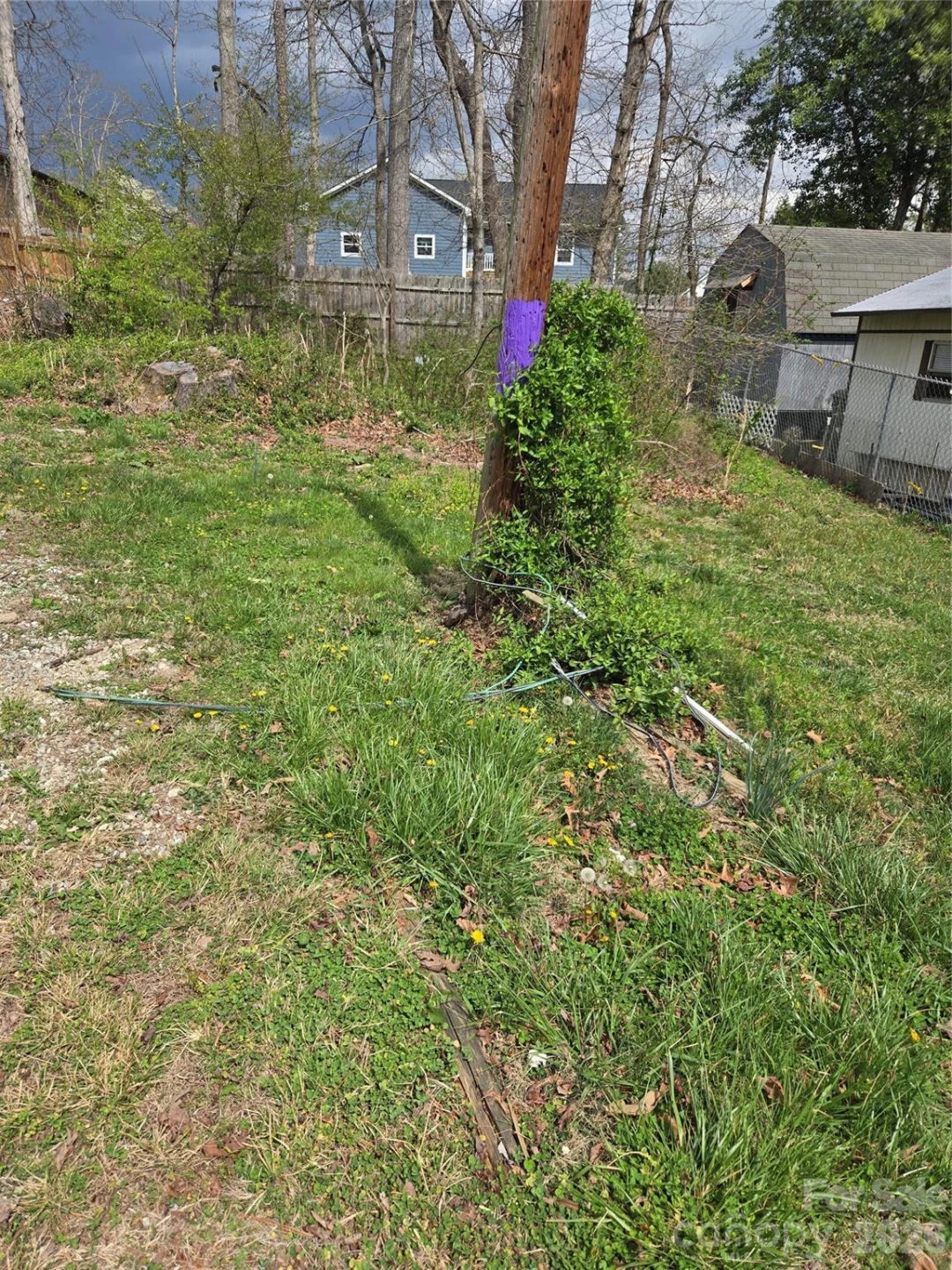 145 Carolina Circle #8 - Photo 3