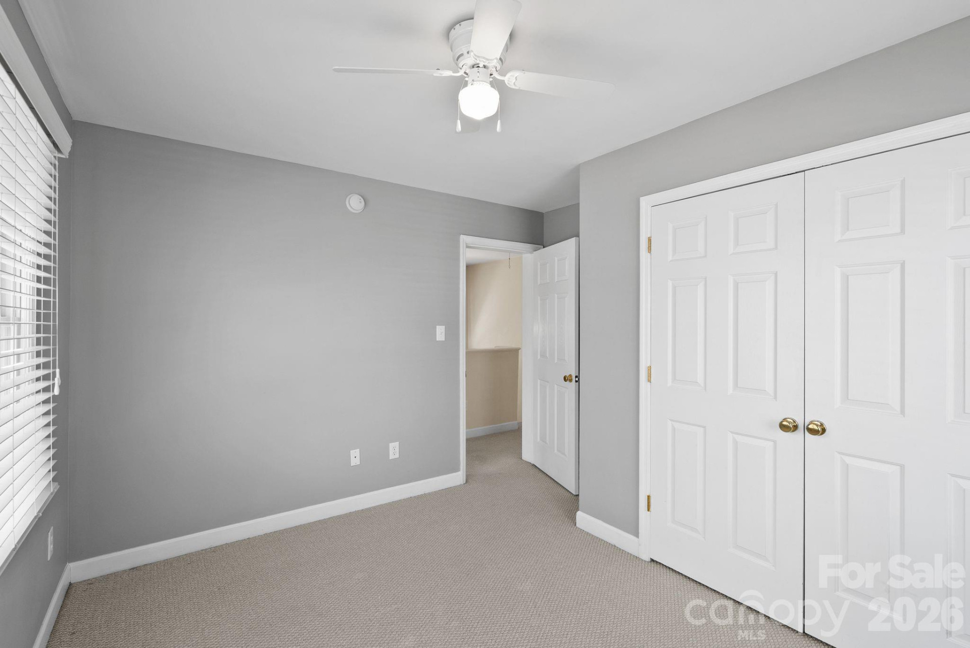 29 Elizabeth Street - Photo 13
