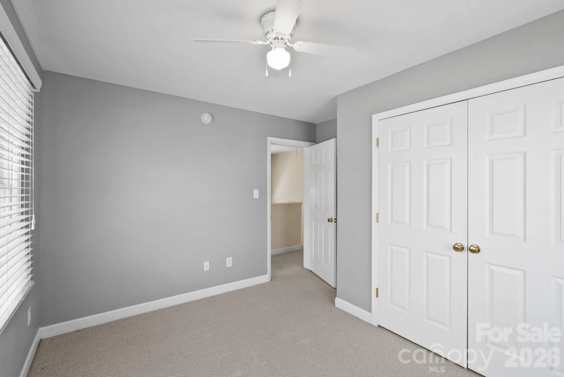 29 Elizabeth Street - Photo 13