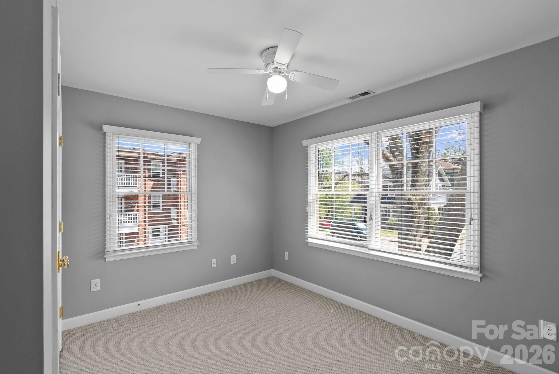 29 Elizabeth Street - Photo 14