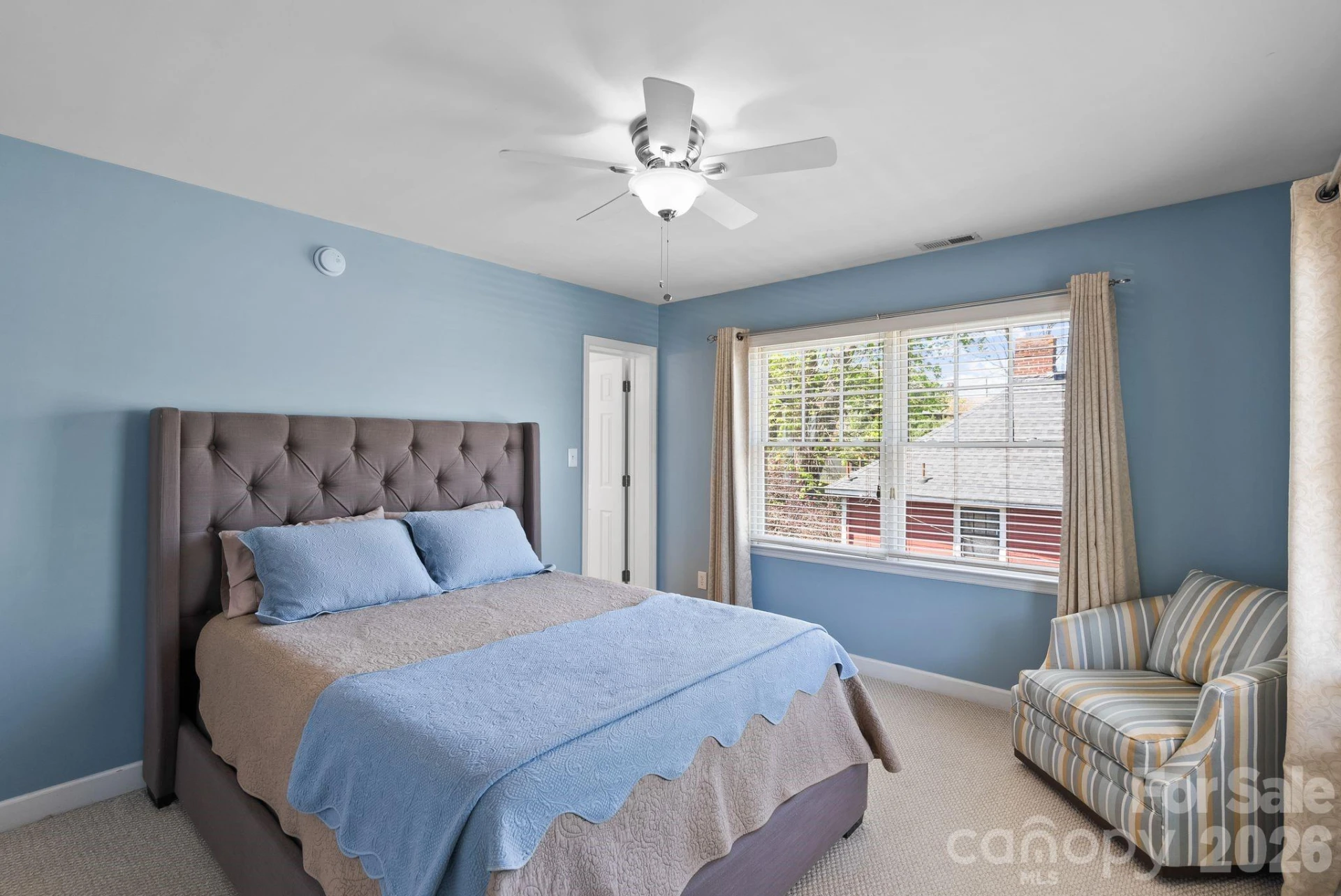 29 Elizabeth Street - Photo 16