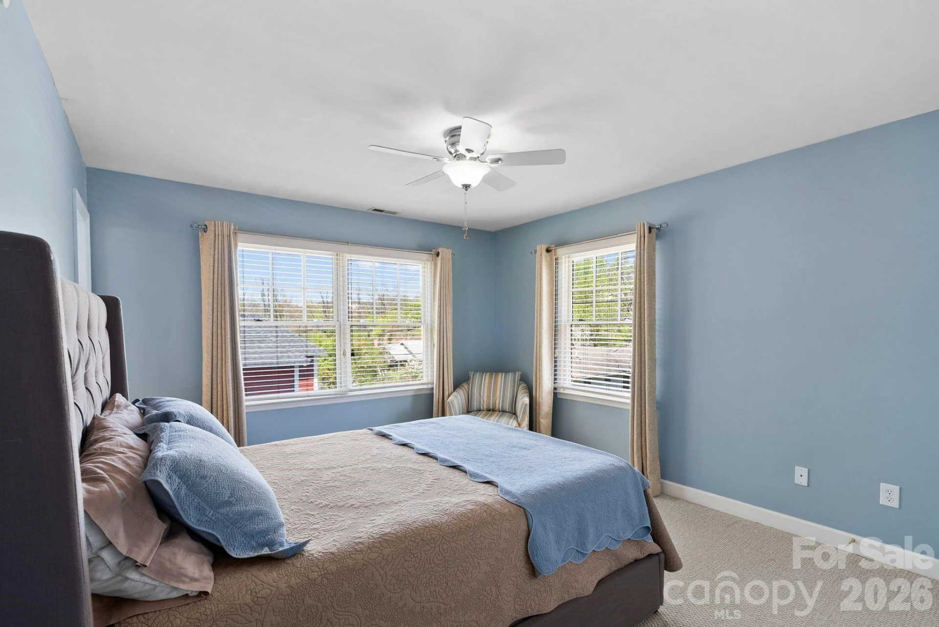 29 Elizabeth Street - Photo 17