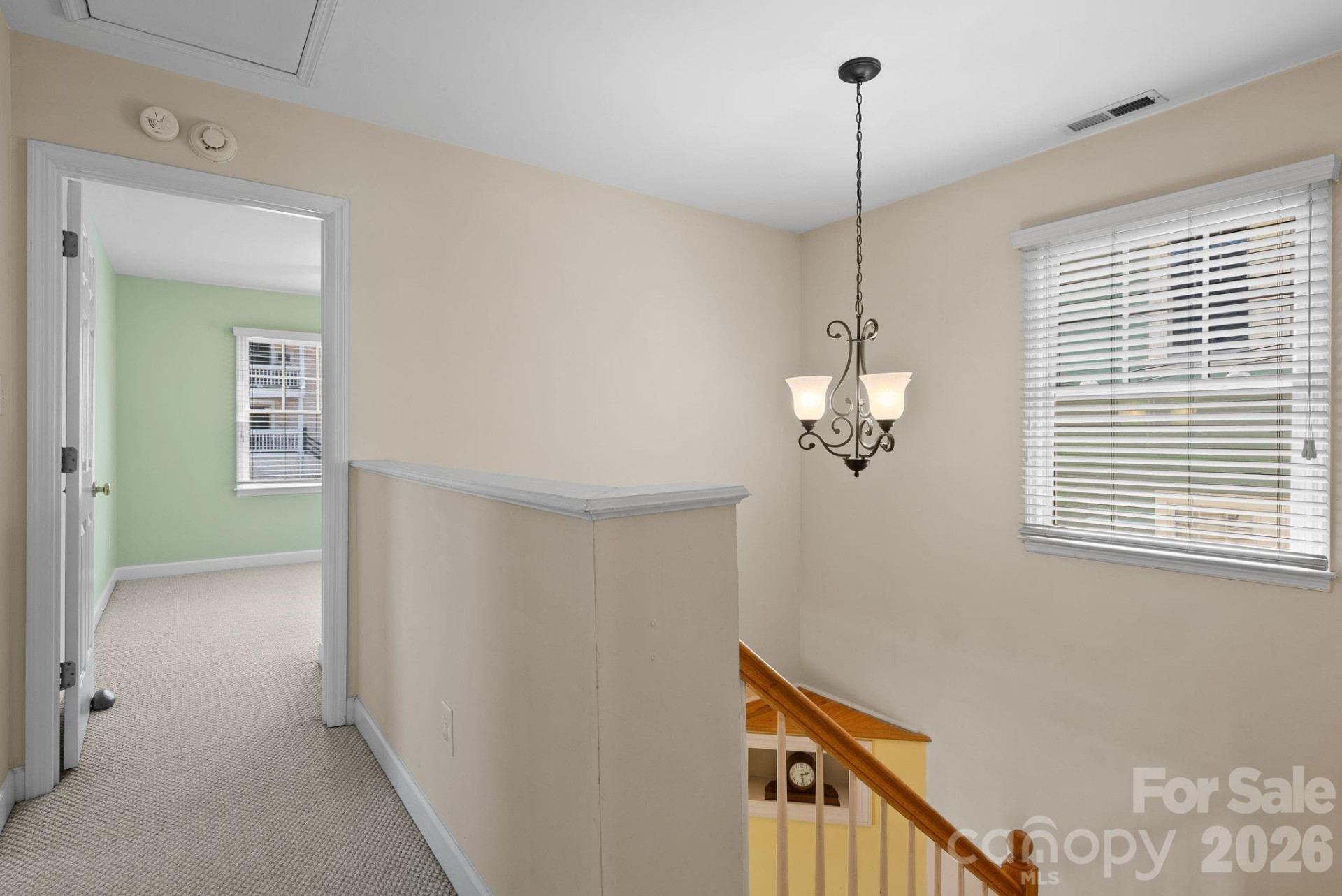 29 Elizabeth Street - Photo 19