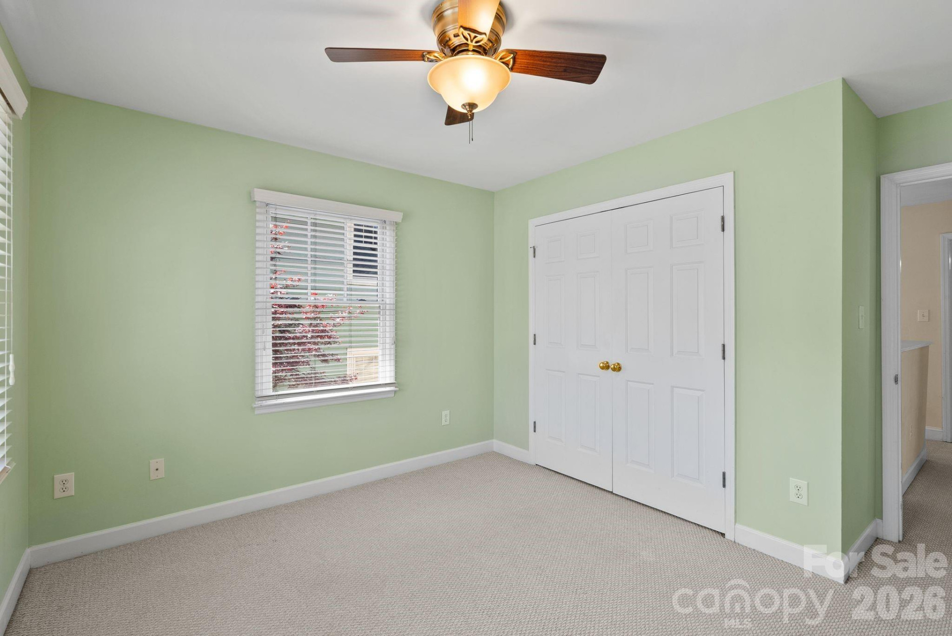29 Elizabeth Street - Photo 20