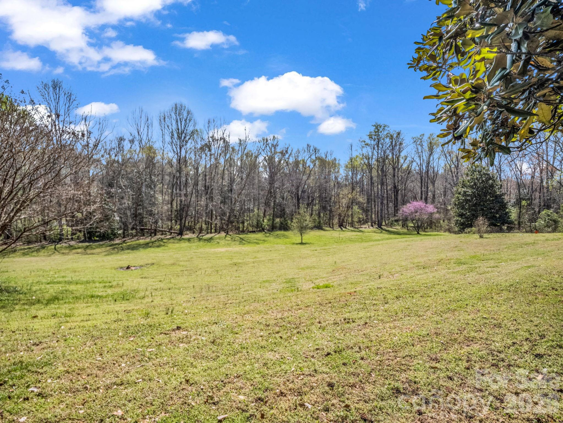 1282 Old US 74 Highway - Photo 34