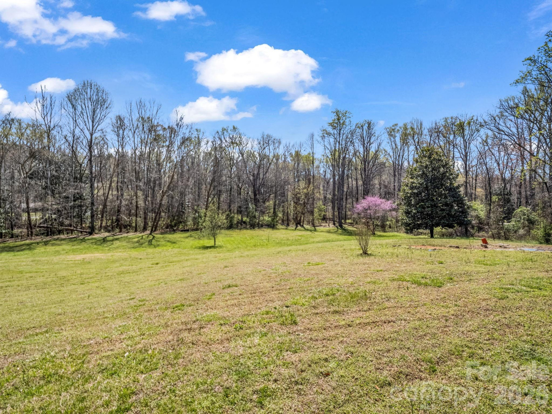 1282 Old US 74 Highway - Photo 37