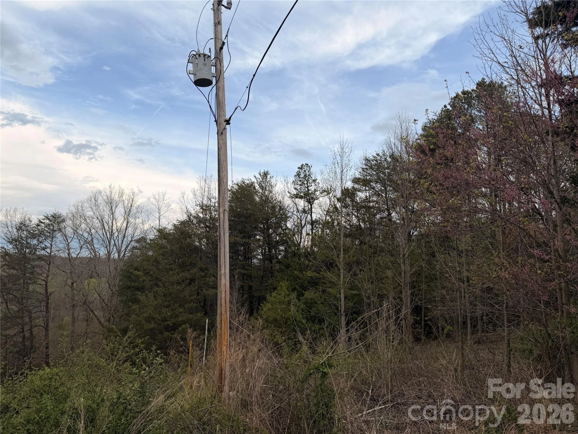 7557 Cowtail Lane - Photo 2