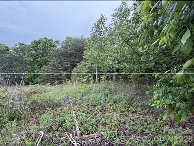 7557 Cowtail Lane - Photo 14