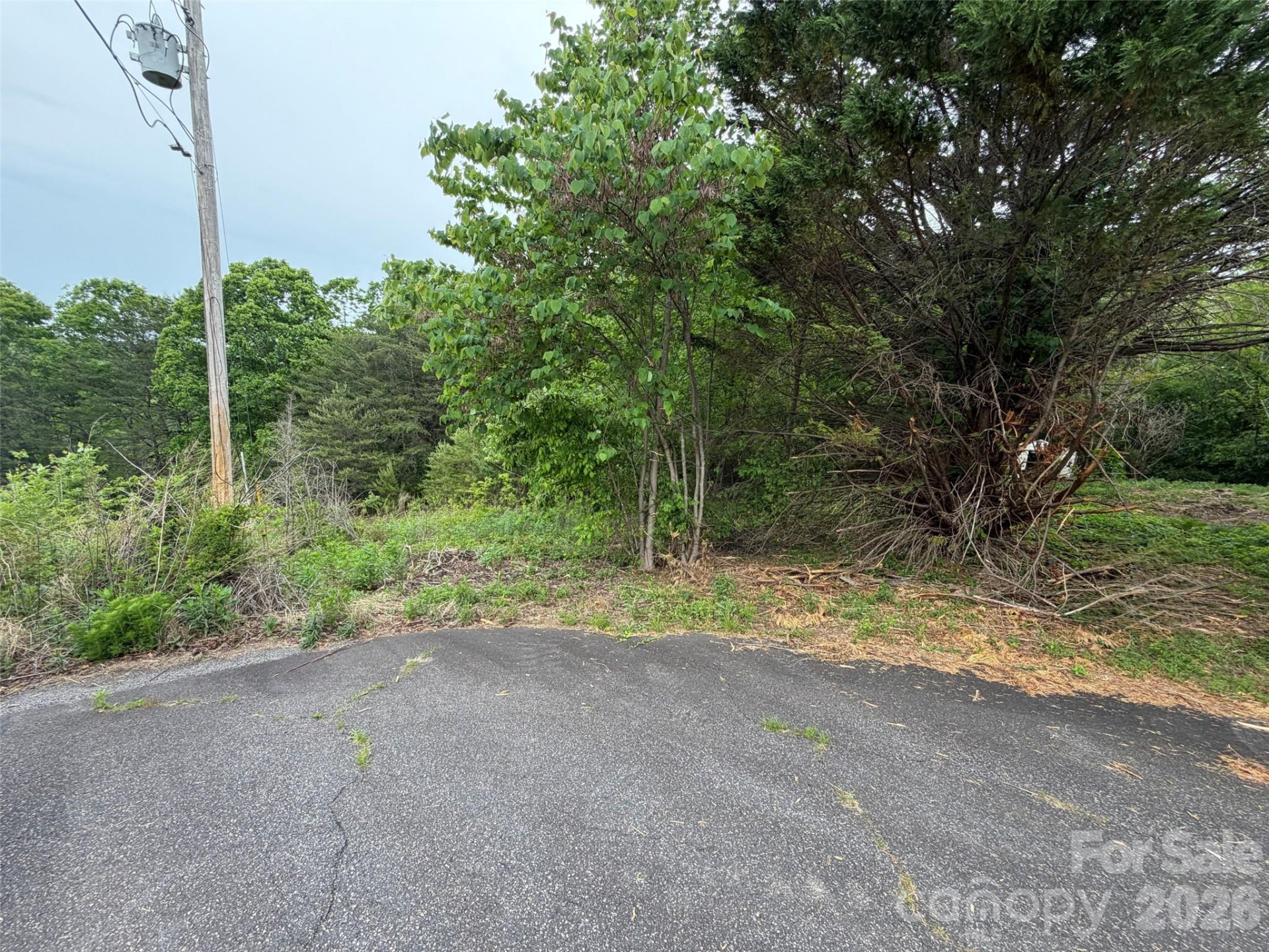 7557 Cowtail Lane - Photo 20