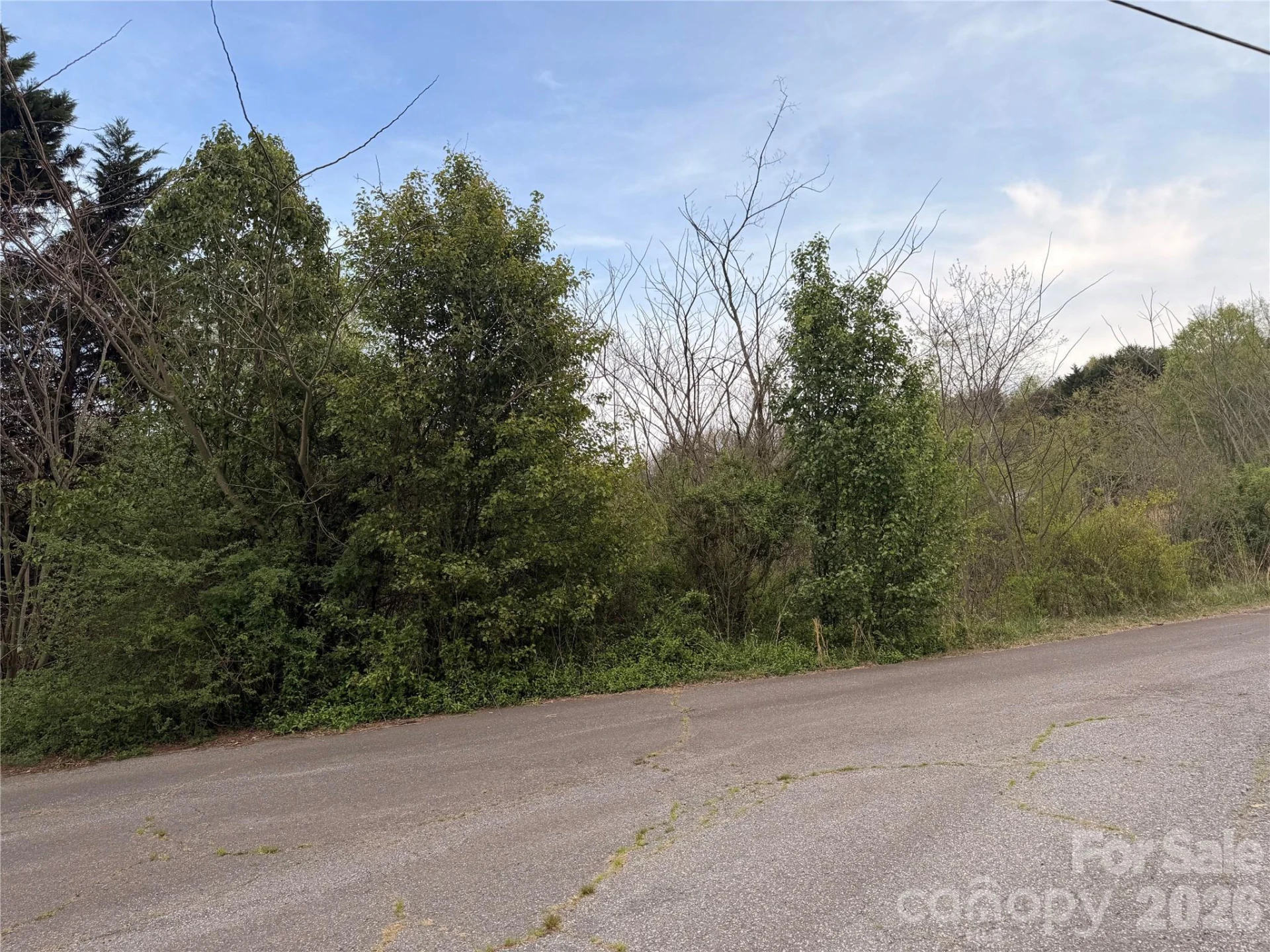 7557 Cowtail Lane - Photo 3