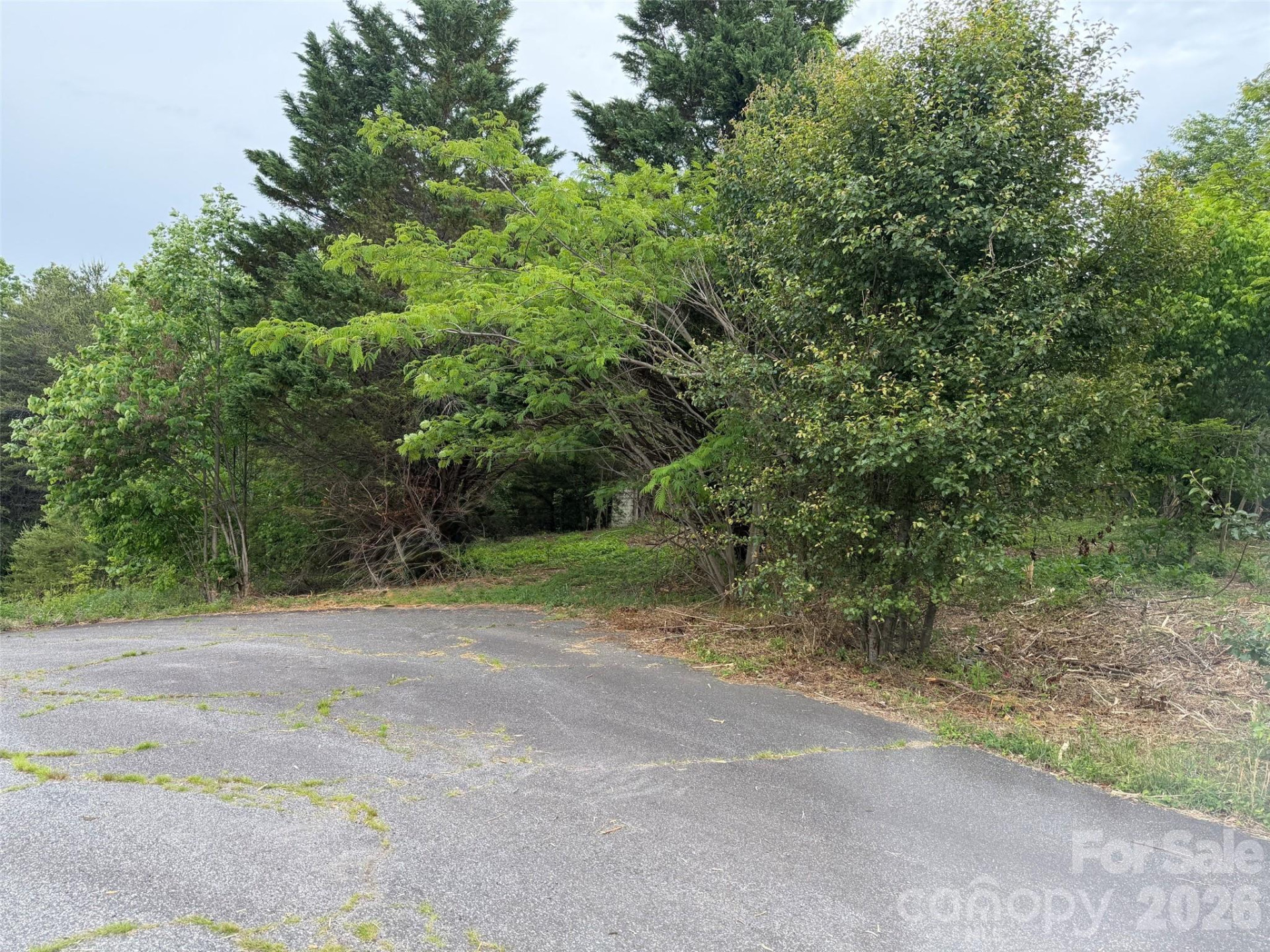 7557 Cowtail Lane - Photo 21